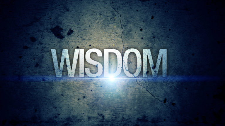 The High Value Of Wisdom