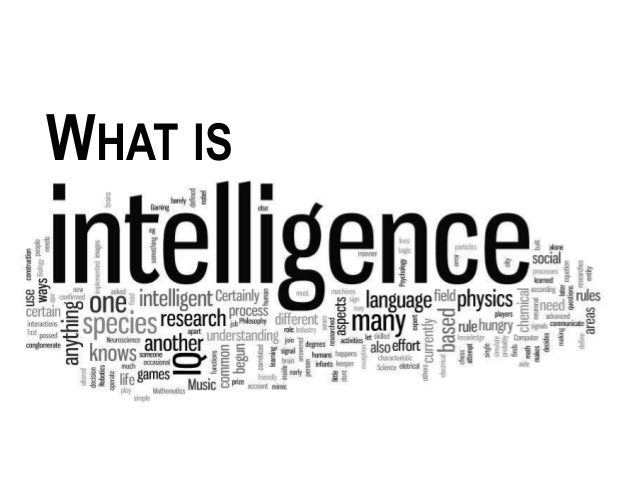 What is Intelligence?